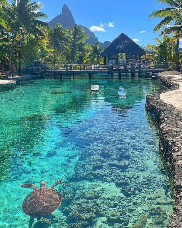 Romantic Escapes Bora Bora